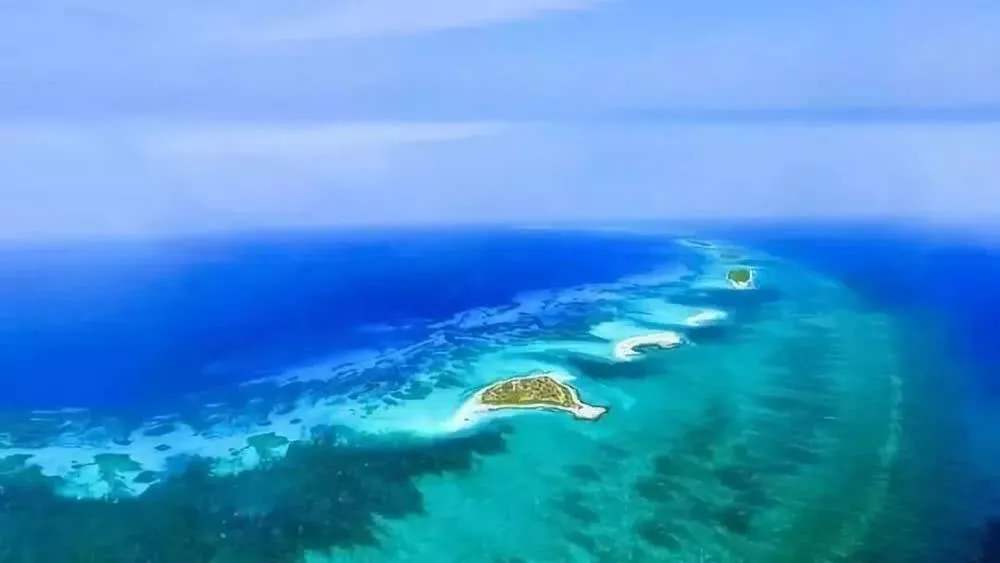“海南自由港”震撼登場(chǎng)！40個(gè)亮點(diǎn)東方和利帶你一文看懂
